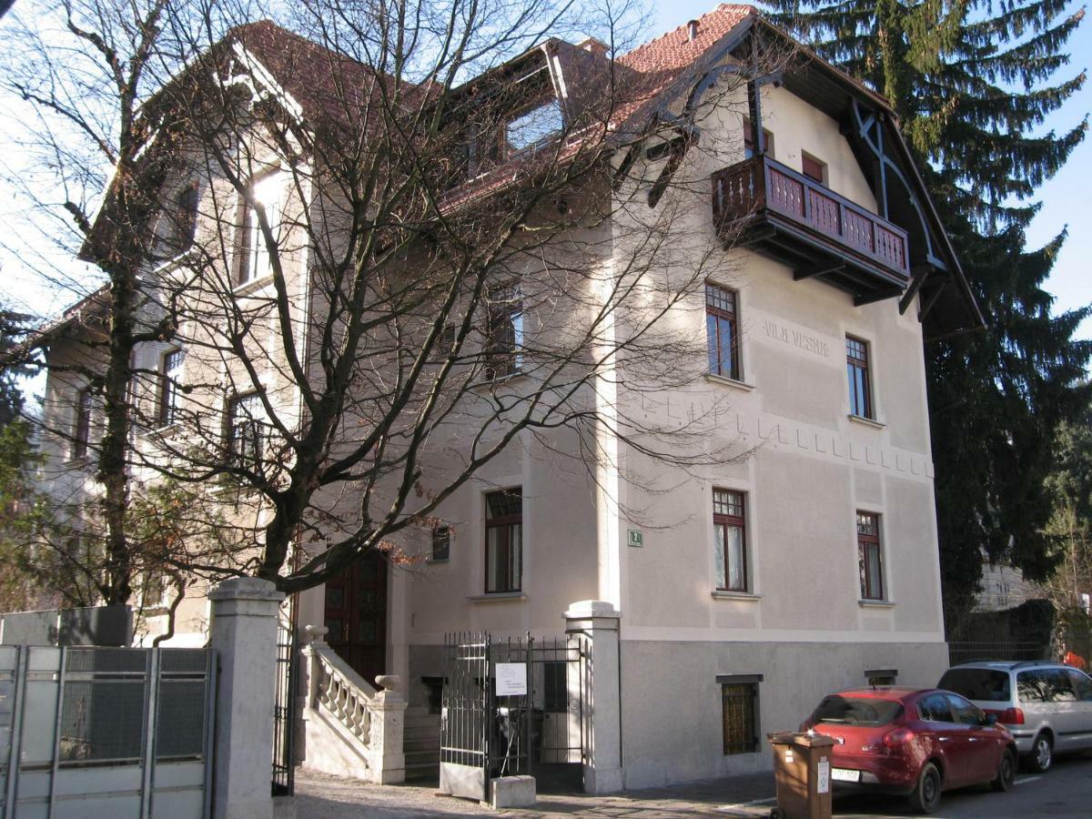 Basement In Vila Vesna Ljubljana